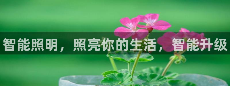 云顶集团app免费下载苹果