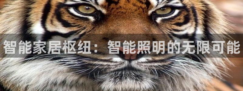 云顶国际滑雪场
