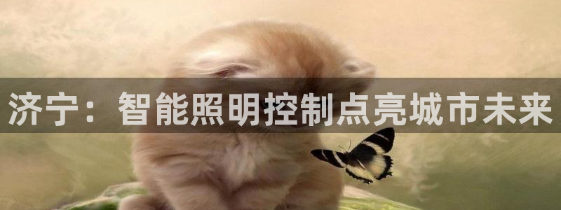 云顶国际晟荣协会高峰