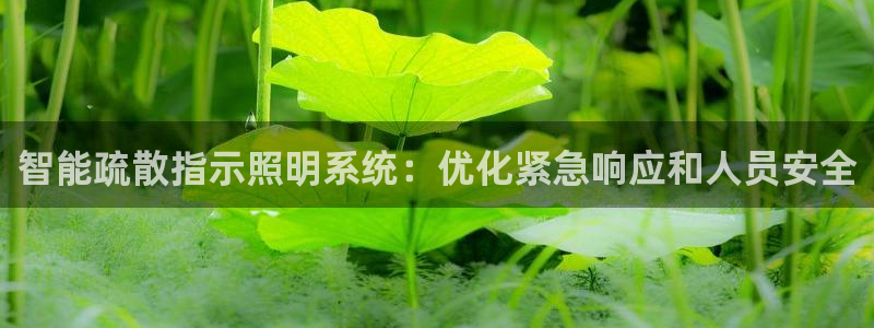 云顶国际休闲会所