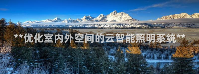 云顶国际公馆在哪个街道
