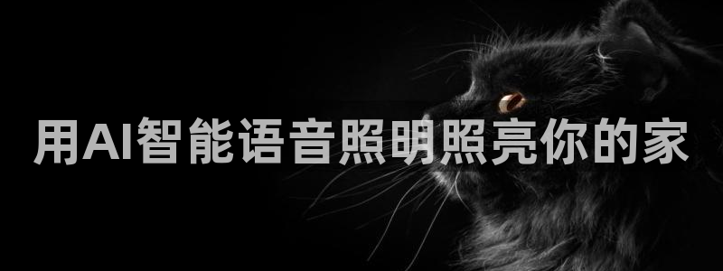云顶国际大酒店招聘信息