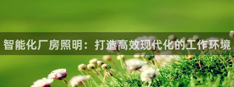 云顶国际提现多久到账户