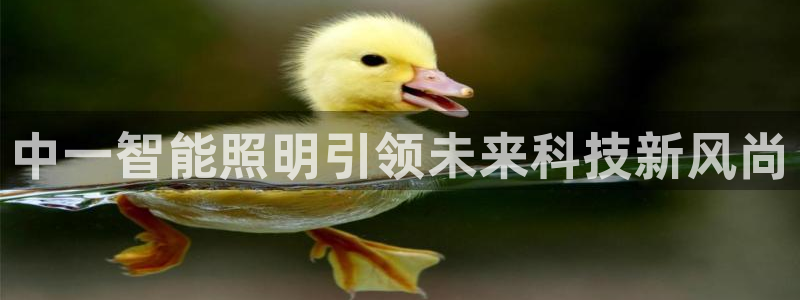 云顶国际老板是谁