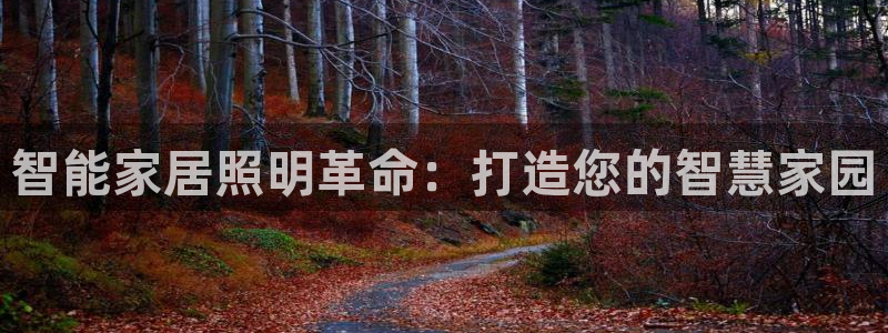 云顶国际培训机构