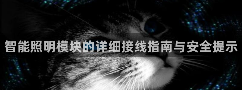 云顶集团 林