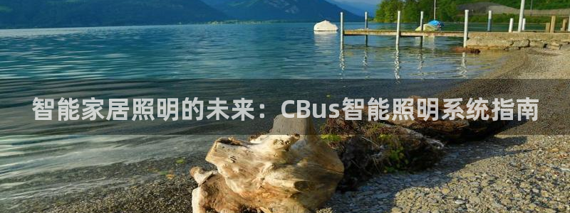 云顶路线图