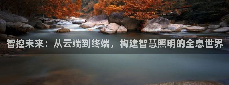 云顶国际酒店几星