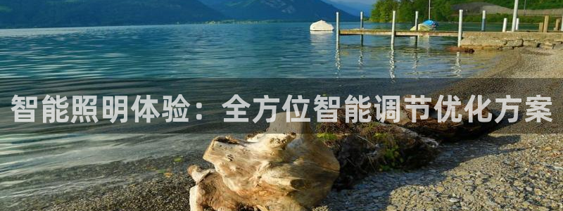 云顶国际服没有改名卡