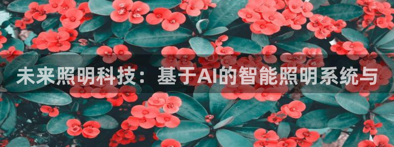云顶国际网站打不开