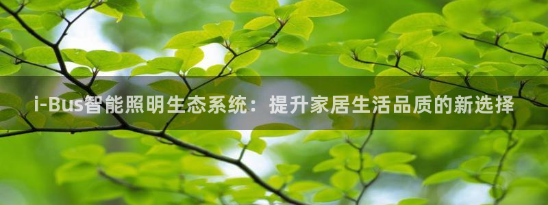 云顶国际是正规平台吗安全吗
