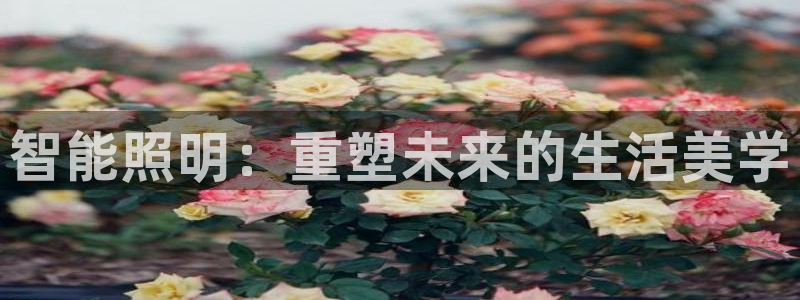 怎么下载云顶国际服