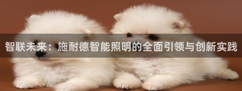 云顶国际会所怎么样