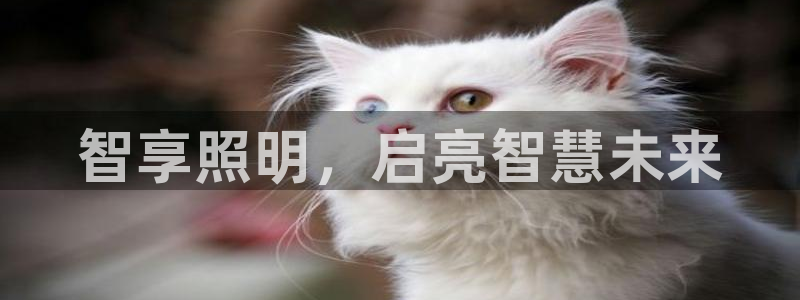 云顶国际百度百科下载