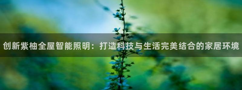 云顶国际注册送38：创新紫柚全屋智能照明