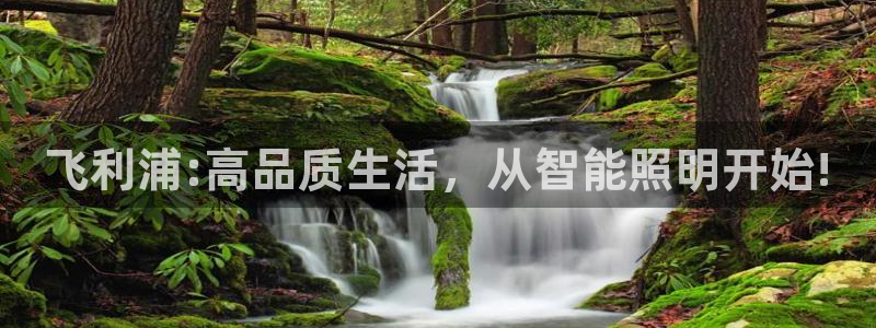 云顶国际KTV会所：飞利浦:高品质生活，