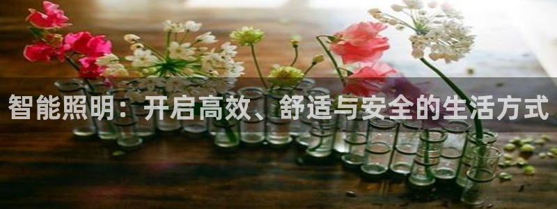 云顶集团3118acm官网