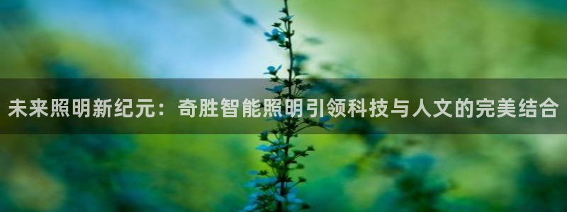 云顶国际服更新s9