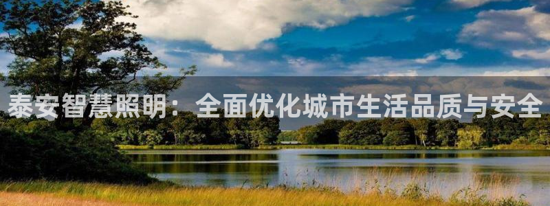 云顶国际服账号
