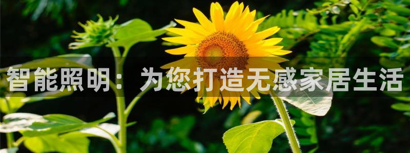 云顶国际会议中心在哪