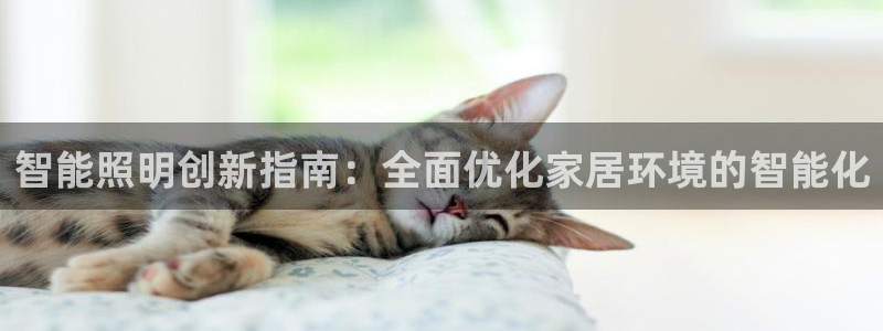 云顶国际网上平台