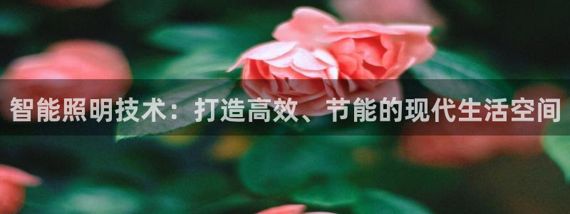 云顶集团老总简介