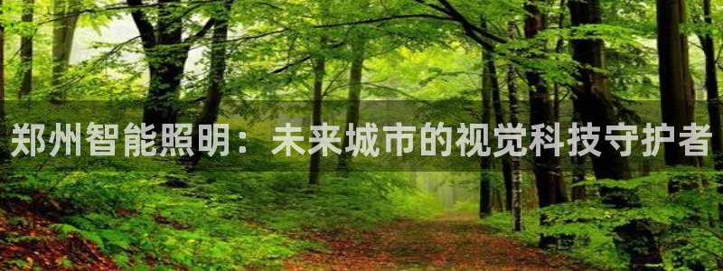 yd2333云顶贵宾会：郑州智能照明：未