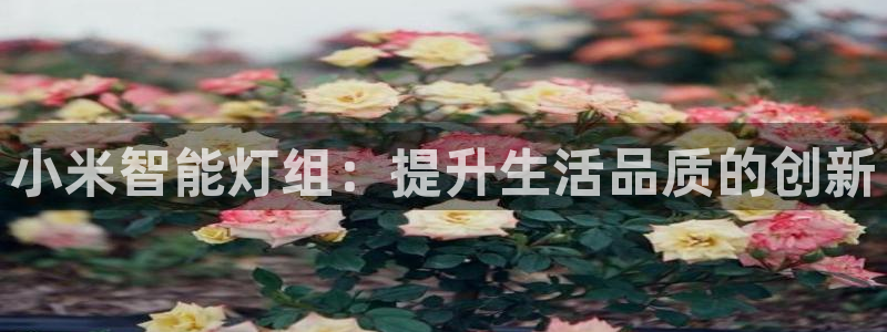 云顶国际和百姓渔村：小米智能灯组：提升生