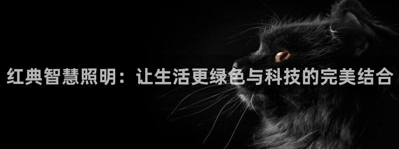 云顶国际网站可靠吗