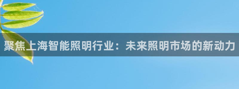云顶集团app免费下载安装