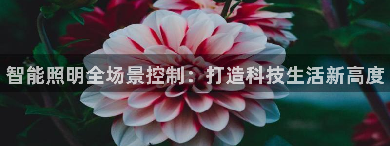 登录云顶集团app