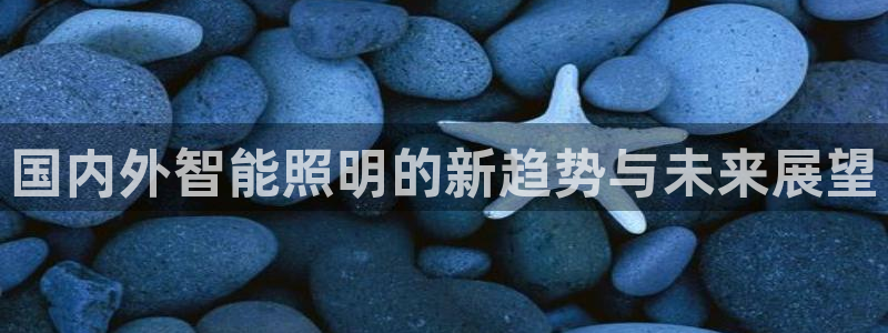 云顶集团董事长林东